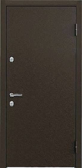Уличная дверь в дом и квартиру ZR-6 - снаружи